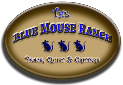 The Blue Mouse Ranch